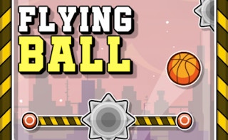 Flying Ball game cover