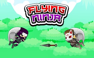 Flying Ninja game cover