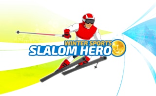 Slalom Hero game cover