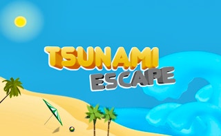 Tsunami Escape game cover